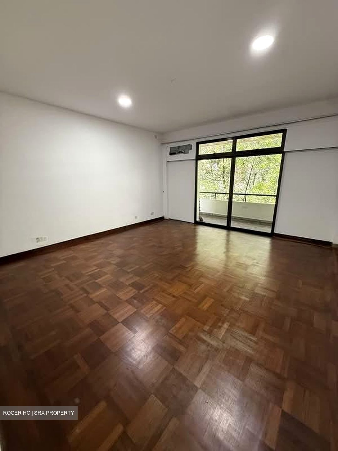 The Arcadia (D11), Condominium #563113121
